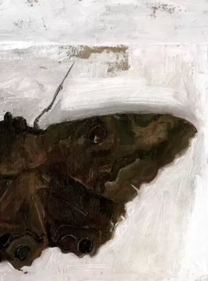Carátula de Phobia
