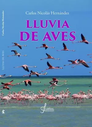 Carátula de Lluvia de aves