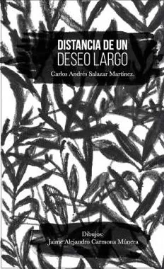 Carátula de Distancia de un Deseo Largo
