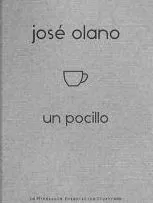 Carátula de Un pocillo - Ensayo gráfico sobre obras de José Olano