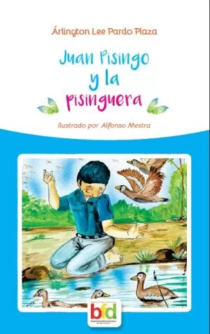 Carátula de Juan Pisingo y la pisinguera