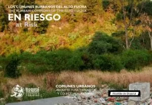 Carátula de En riesgo