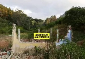 Carátula de En riesgo