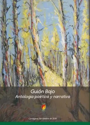 Carátula de Guión Bajo