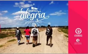 Carátula de La perfecta alegría