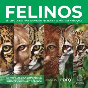 Carátula de Estudio de las poblaciones de Felinos en el norte de Antioquia