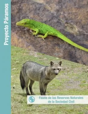 Carátula de Guía ilustrada de Herpetos y mamíferos