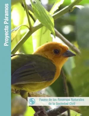 Carátula de Guía ilustrada de Aves