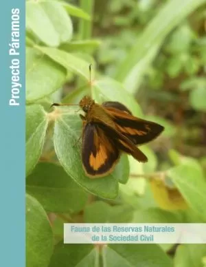 Carátula de Guía ilustrada de Mariposas