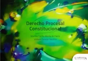 Carátula de Derecho Procesal Constitucional