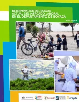 Carátula de Determinación del estado actual del Mercado Laboral en el Departamento de Boyacá