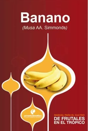 Carátula de Banano (Mussa AAA Simmonds)