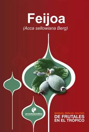 Carátula de Feijoa (Acca sellowiana Berg)