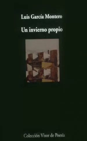 Carátula de Un invierno propio