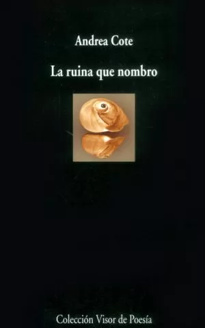 Carátula de La ruina que nombro