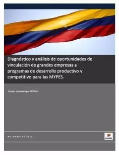 Carátula de Diagnostico y Análisis de Oportunidades de Vinculación de Grandes Empresas a Programas de Desarrollo Productivo y Competitivo para los MYPES