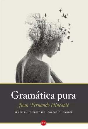 Carátula de Gramática pura