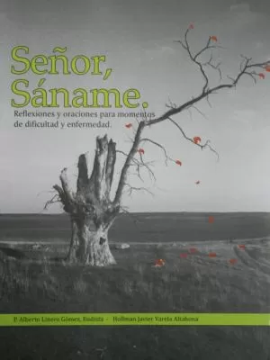 Carátula de Señor sáname
