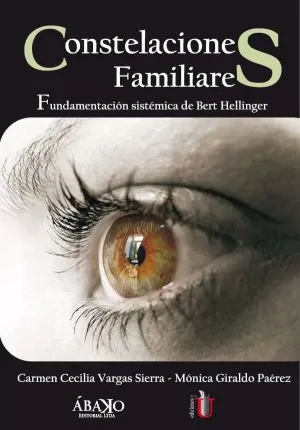 Carátula de Constelaciones familiares
