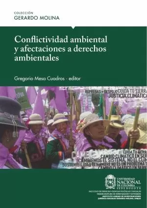 Carátula de Conflictividad ambiental y afectaciones a derechos ambientales