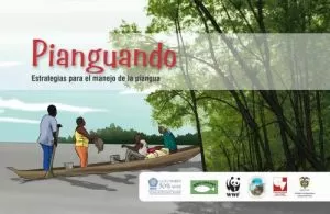 Carátula de Pianguando