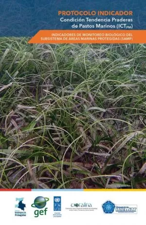 Carátula de Protocolo Indicador Condición Tendencia Pradera de Pastos Marinos (ICTPM)