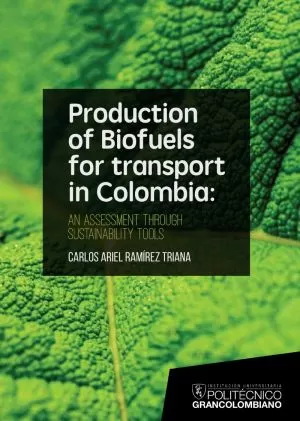 Carátula de Production of biofuels for transport in Colombia: An assessment through sustanability tools