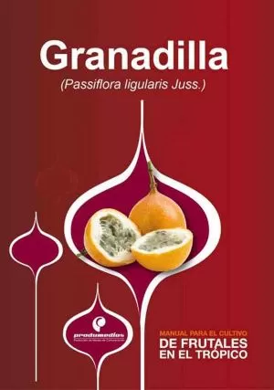 Carátula de Granadilla (Passiflora ligularis Juss.)
