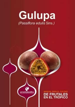 Carátula de Gulupa (Passiflora edulis Sims.)