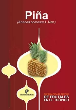 Carátula de Piña (Ananas comosus L. Merr.)