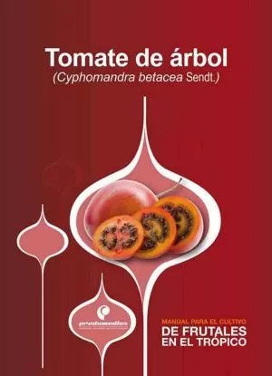 Carátula de Tomate de Árbol (Cyphomandra betacea sendt.)