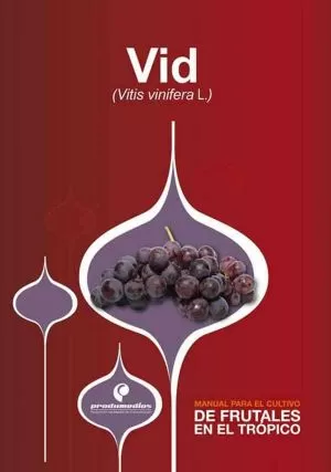 Carátula de Vid (Vitis vinifera L.)