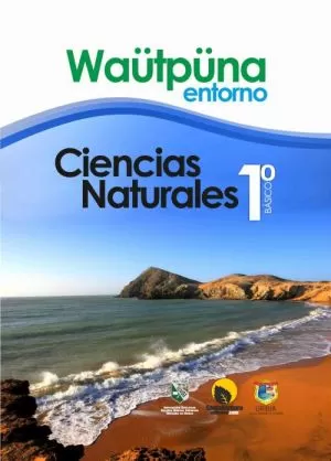 Carátula de Waütpüna - Entorno