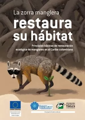 Carátula de La zorra manglera restaura su hábitat