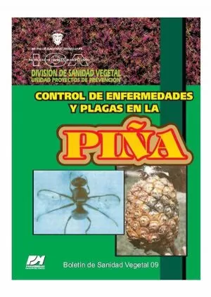 Carátula de Control de Enfermedades y Plagas en Melón y Papaya