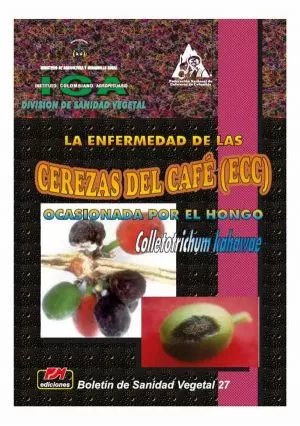 Carátula de Enfermedad de las Cerezas, del Café Ocasionada por el Hongo Colletotichom