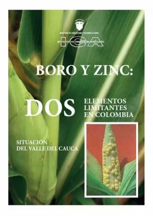 Carátula de Foro y Zinc: Dos elementos Limitantes en Colombia