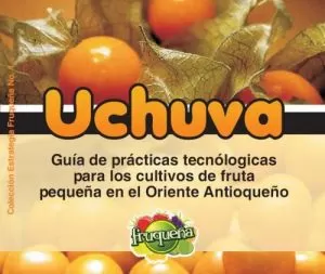 Carátula de Uchuva: Guía de Prácticas Tecnológicas para el Cultivo de Fruta Pequeña en el Oriente Antioqueño