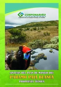 Carátula de Síntesis del Plan de Manejo del Páramo de Paja Blanca - Propuesta Técnica