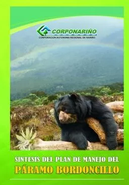 Carátula de Síntesis del Plan de Manejo del Páramo Bordoncillo - Propuesta Técnica