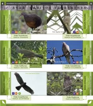 Carátula de Biodiversidad del Humedal Ramsar de La Laguna de La Cocha, Pasto. Colombia