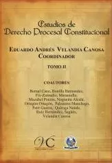 Carátula de Estudios de derecgo procesal constitucional