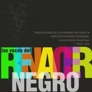 Carátula de Las Voces del Renacer Negro