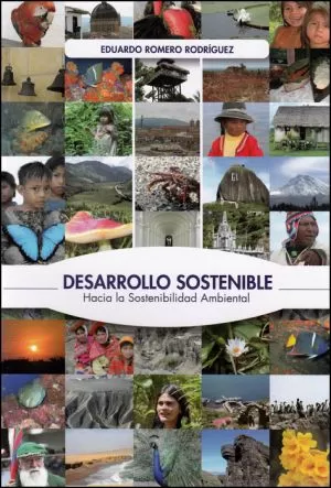 Carátula de Desarrollo sostenible hacia la sostenibilidad ambiental