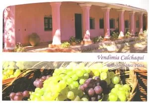 Carátula de Vendimia Calchaquí