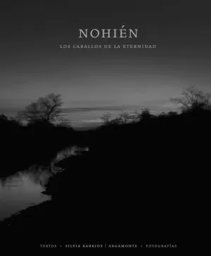 Carátula de Nohién