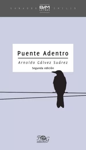 Carátula de Puente adentro