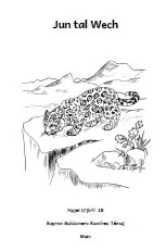 Carátula de Jun tal Wech