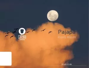 Carátula de Pajapa