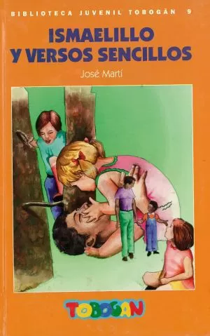 Carátula de Biblioteca juvenil tobogán